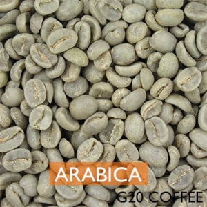 CÀ PHÊ HẠT TƯƠI ARABICA - Giá theo thời vụ