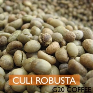 HẠT CÀ PHÊ TƯƠI CULI ROBUSTA - Giá theo thời vụ